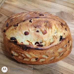 May include: A freshly baked loaf of bread with a golden-brown crust and visible dried fruit. The bread has a rustic appearance with scoring on top and is likely a sourdough or artisan style. The image is shot on a wooden surface.