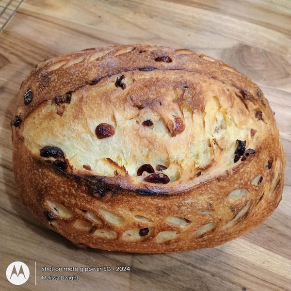 Orange Cranberry Sourdough Batard
