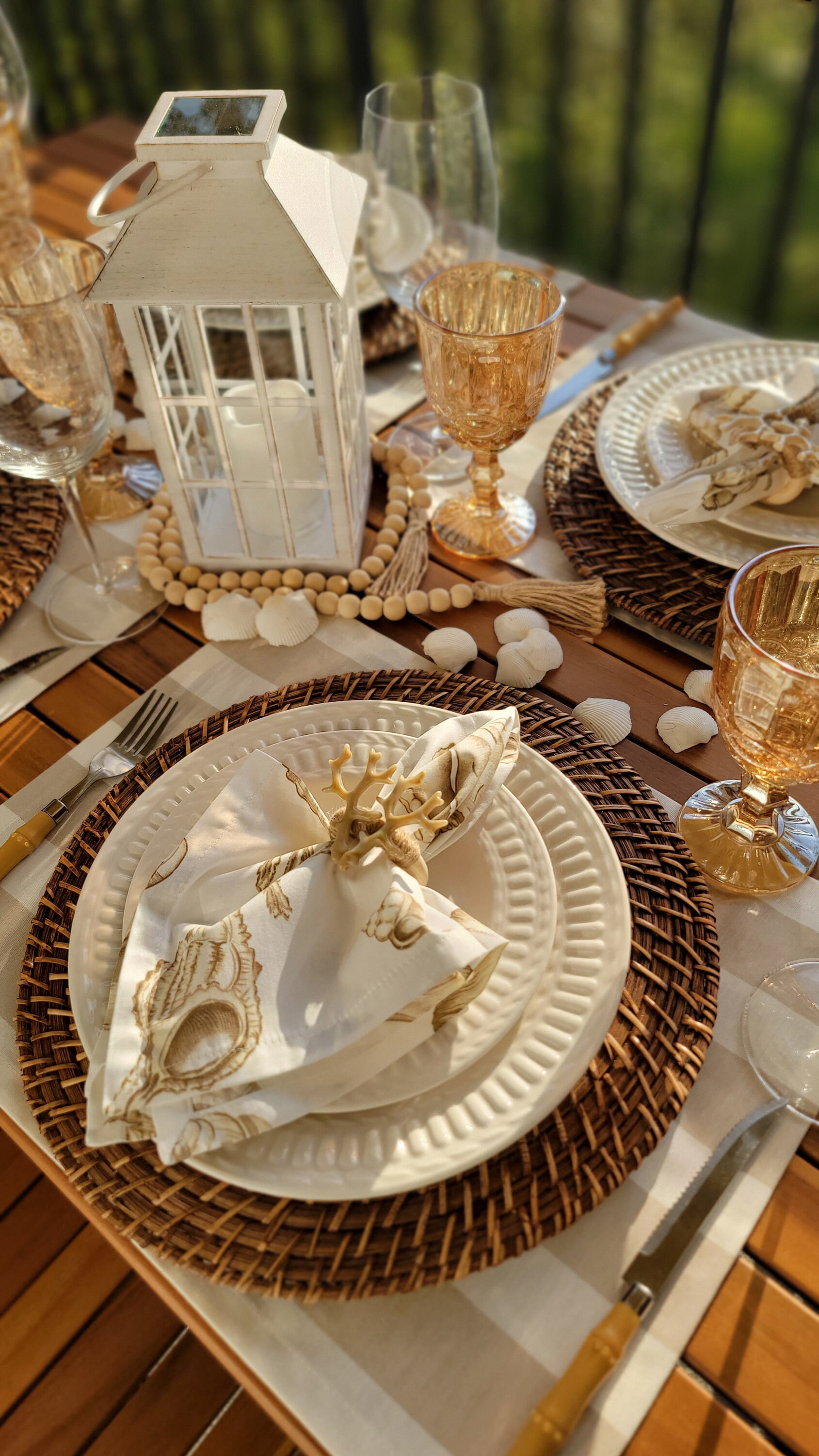 Coastal table setting with placemat, napkin and napkin ring (choice)