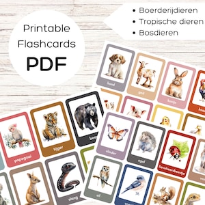 Animals Printable Flashcards Dutch