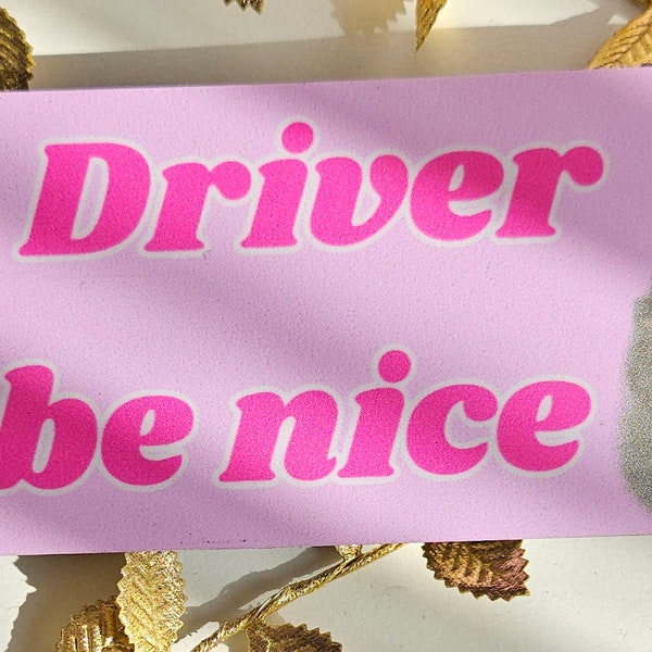 Magnetic Bumper Magnet | New Driver pls be Nice | sad hamster | Magnet for Car | Beginner Magnet | Beginner please be nice |