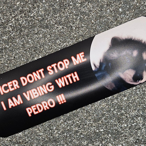 Magnetic Bumper Magnet | Pedro the Raccoon | Officer don’t stop me | I am Vibing | super cool magnet for your car