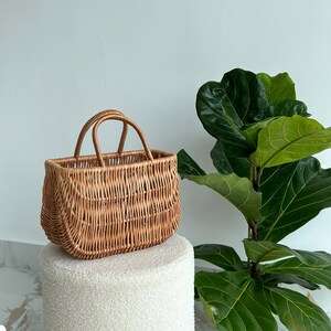 May include: A light brown wicker basket with two handles, sitting on a white fluffy surface. The basket is rectangular with rounded edges. A green leafy plant is in the background.