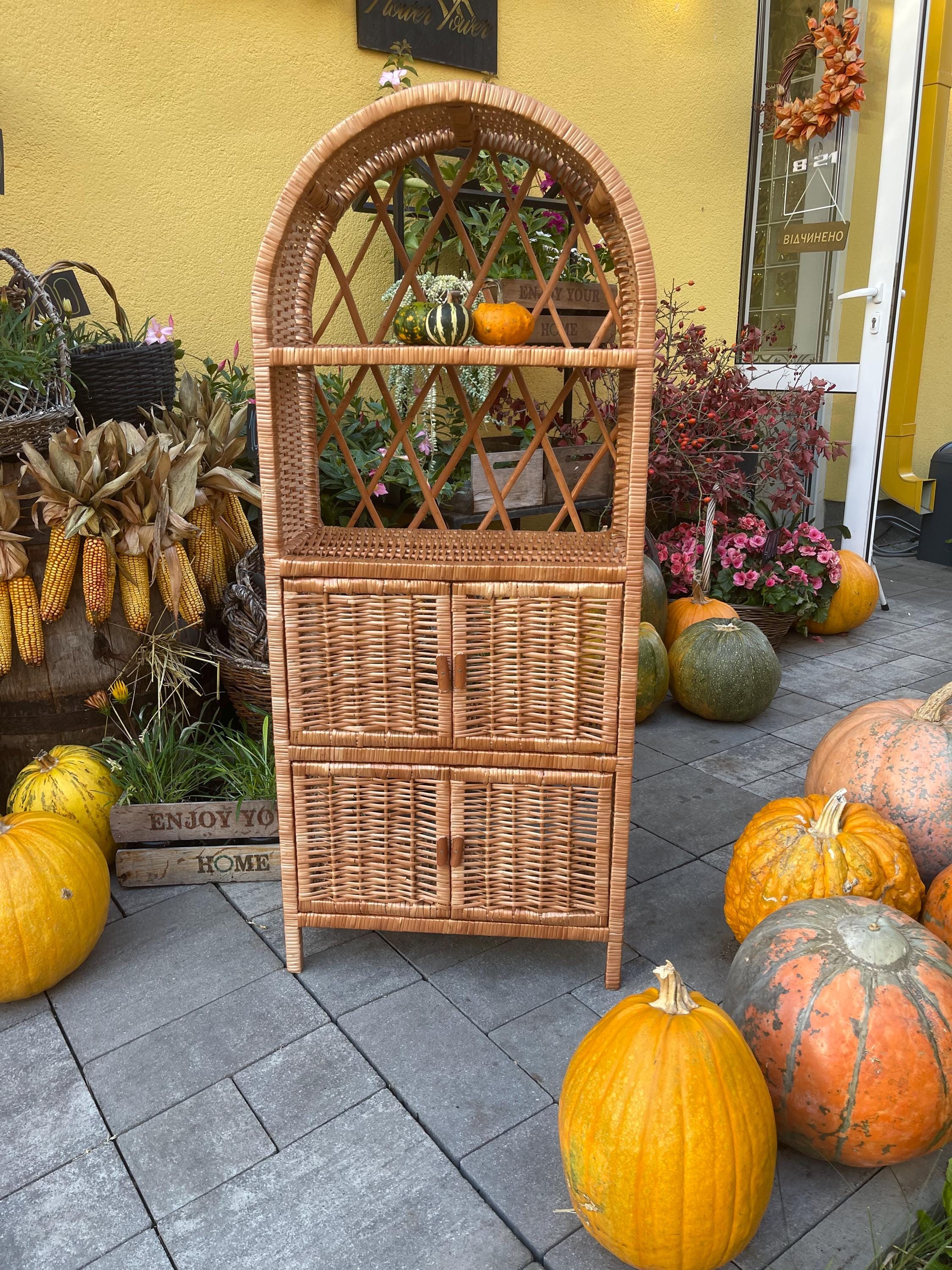 扉付きアーチ型籐キャビネット、環境に優しい籐棚、植物スタンド、籐