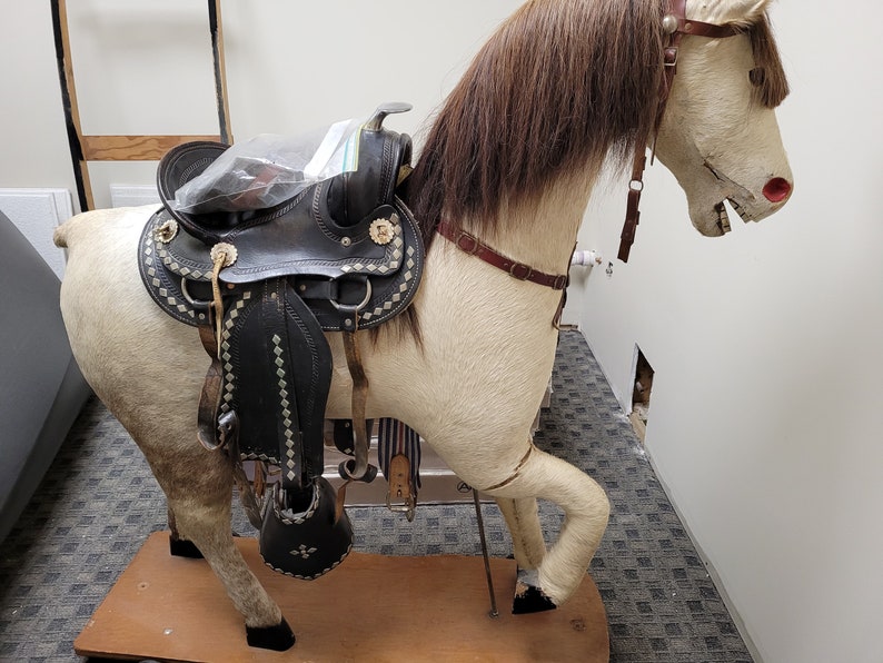 Rare Taxidermy Pony Rocking Horse Etsy
