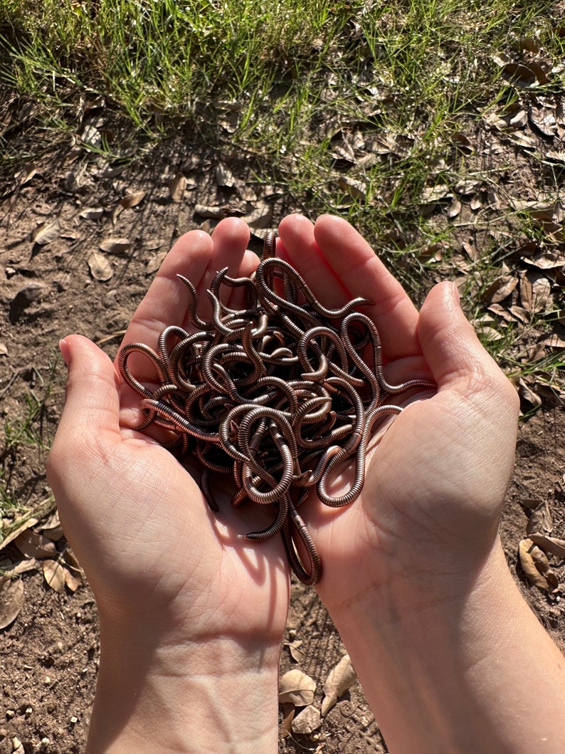 Handmade Copper Bug Worm Earrings Etsy Canada