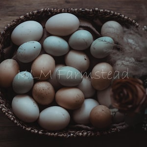 Farmstead mobile Lightroom preset