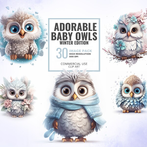 Watercolor Winter Baby Owls, Clipart Pack, Winter Owls, Clip Art for Commercial Usage, PNG, Nursery, baby shower invites, Digital Download