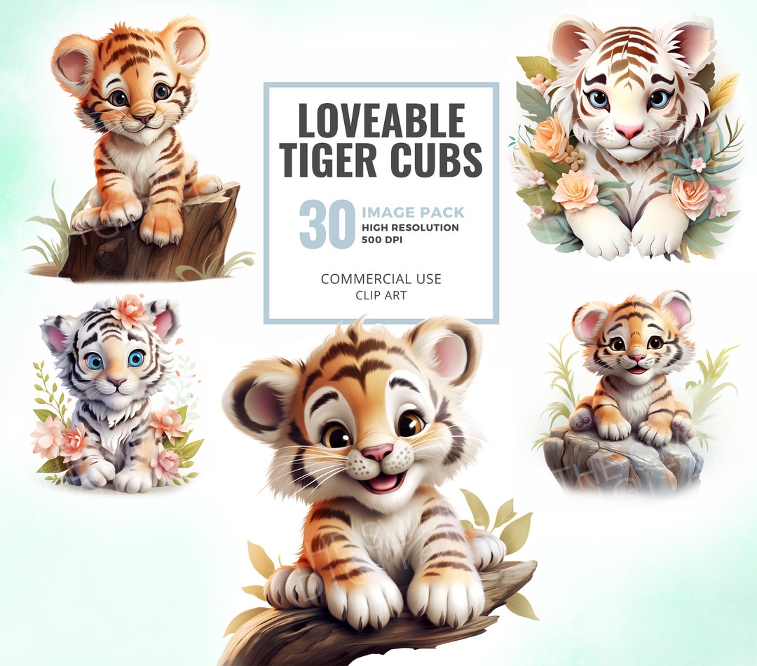 Tiger Cub Stack Watercolor Tigers Cubs Clipart Pack Baby Tigers Clip Art - Etsy