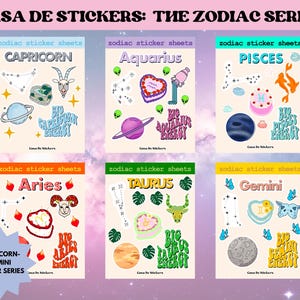Dierenriem plannerstickers, dierenriem stickervel, stickervellen Steenbok-Tweeling, unieke astrologische stickers, leuke stickers, leuke stickers