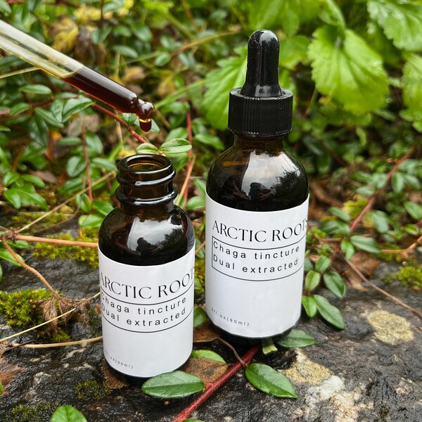 Chaga Tincture Dual Extracted from birtch three found in the Norwegian forest