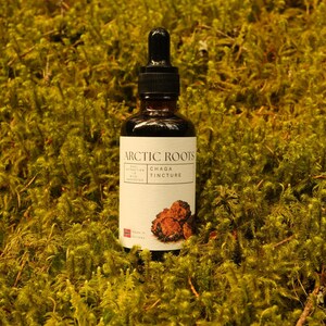 Chaga-tinctuur – dubbel geëxtraheerd uit de Noorse natuur