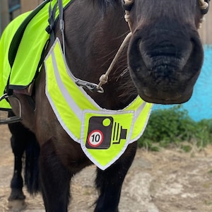 Zwaar uitgevoerde, met fleece gevoerde, reflecterende paardenborsttuig met hoge zichtbaarheid en volledig verstelbaar camerasymbool