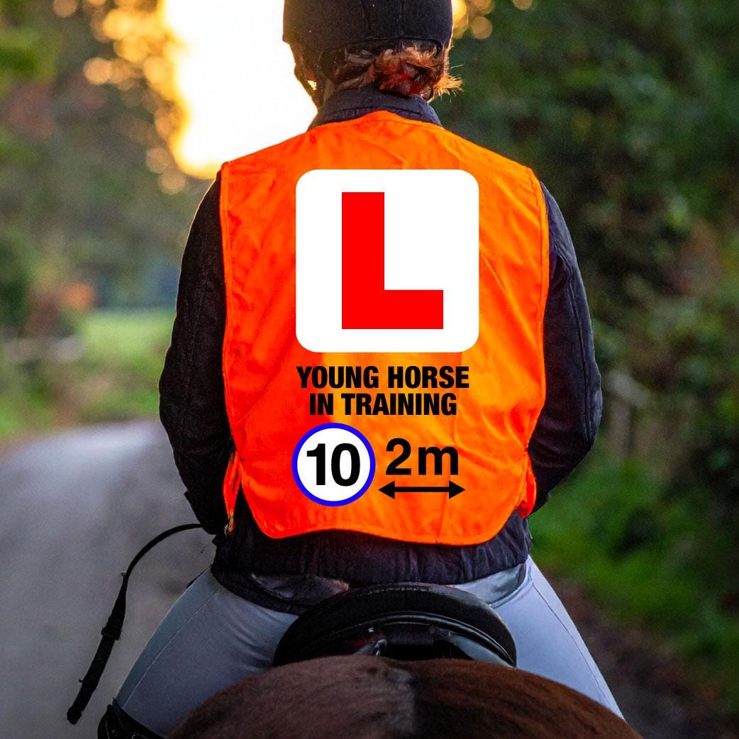 DOUBLE SIDED High Visibility Hi Vis Equestrian Reflective Vest