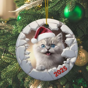 2025 Persian Cat Merry Christmas Ornament