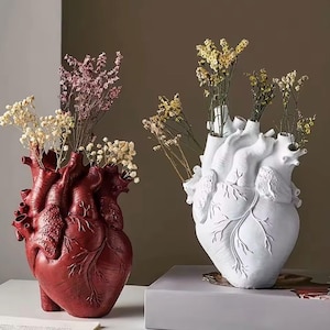 May include: Two heart-shaped vases, one red and one white, each filled with dried flowers. The vases have detailed anatomical features. The red vase is on the left, and the white vase is on the right.