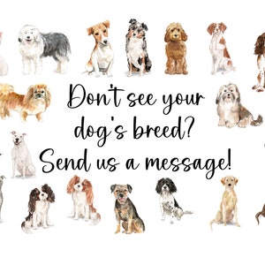 以下が含まれることがあります： 様々な犬種の水彩画のコレクション。画像には、ジャックラッセルテリア、ゴールデンレトリバー、ラブラドールレトリバー、ビーグル、ブルドッグ、プードル、シーズー、ヨークシャーテリア、ダックスフント、ジャーマンシェパード、ボクサー、ロットワイラー、ドーベルマンピンシャー、グレートデーン、シベリアンハスキー、アラスカンマラミュート、バーニーズマウンテンドッグ、セントバーナード、ニューファンドランド、ポメラニアン、チワワ、ビションフリーゼ、キャバリアーキングチャールズスパニエル、コッカースパニエル、スプリンガースパニエル、ブリタニー、ワイマラナー、ビズラ、ボーダーコリー、オーストラリアシェパード、シェットランドシープドッグ、コリー、オールドイングリッシュシープドッグ、  と  が含まれています。画像のテキストは「あなたの犬の品種が見つかりませんか？メッセージを送ってください！」です。