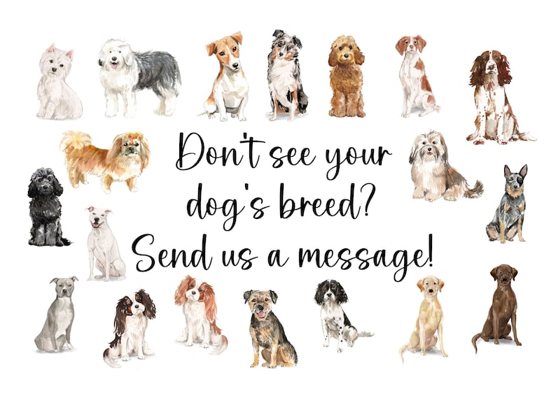 以下が含まれることがあります： 様々な犬種の水彩画のコレクション。画像には、ジャックラッセルテリア、ゴールデンレトリバー、ラブラドールレトリバー、ビーグル、ブルドッグ、プードル、シーズー、ヨークシャーテリア、ダックスフント、ジャーマンシェパード、ボクサー、ロットワイラー、ドーベルマンピンシャー、グレートデーン、シベリアンハスキー、アラスカンマラミュート、バーニーズマウンテンドッグ、セントバーナード、ニューファンドランド、ポメラニアン、チワワ、ビションフリーゼ、キャバリアーキングチャールズスパニエル、コッカースパニエル、スプリンガースパニエル、ブリタニー、ワイマラナー、ビズラ、ボーダーコリー、オーストラリアシェパード、シェットランドシープドッグ、コリー、オールドイングリッシュシープドッグ、  と  が含まれています。画像のテキストは「あなたの犬の品種が見つかりませんか？メッセージを送ってください！」です。