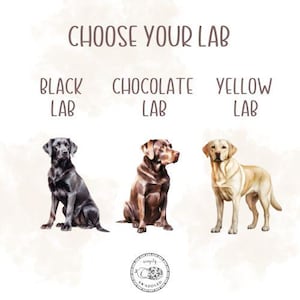 May include: Choose your Lab: a black Labrador Retriever, a chocolate Labrador Retriever, and a yellow Labrador Retriever.