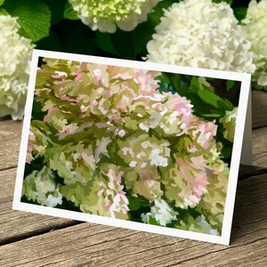 Zestaw kartek Olive & Pink Notecards 6 kartek Hortensje, Popołudniowe światło, Dom, Jesienne artykuły papiernicze, Karty przyjaźni, Prezent powitalny, Karty okolicznościowe