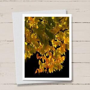 Verlichte berken notitiekaarten set van 6 notitiekaarten bloemen, natuurkunst, landschap stationair, gevouwen notitiekaarten, cadeau, natuur, wenskaarten