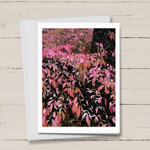 By the Oak Notecards Set di 6 Note Card Floral, Autumn, Nature Art, Landscape Stationary, Folded Note Cards, Gift, Nature, Greeting Cards