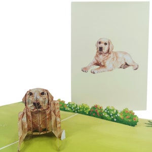 Golden Retriever Hund 3D Pop Up Karte von CardPop ®