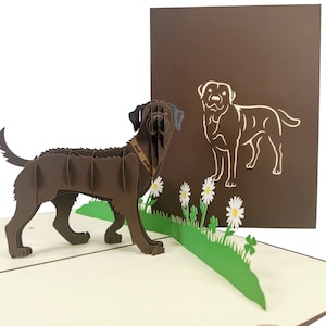 Braune Labrador 3D Pop Up Karte von CardPop ®