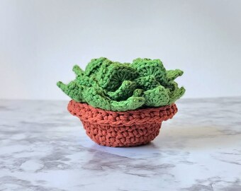 Plant Pot Coaster Set of 5, Succulent Coasters in Pot, Plant Basket, Crocheted succulent, Unique Gift, Coasters Displayed as plant in a Pot