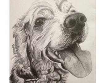 Pencil Dog Portrait Fine Art Poster | Pencil Sketch Canine Wall Art
