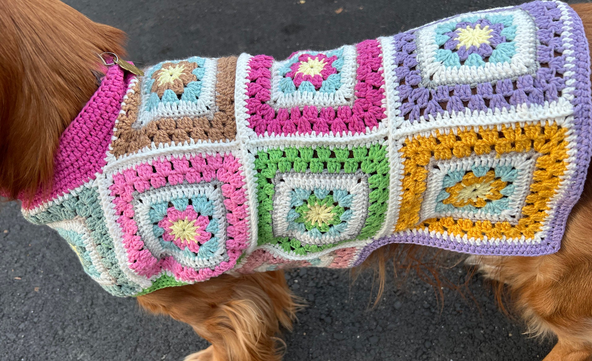 Granny Square Dog Sweater Pet Sweater Crochet Sweater Etsy