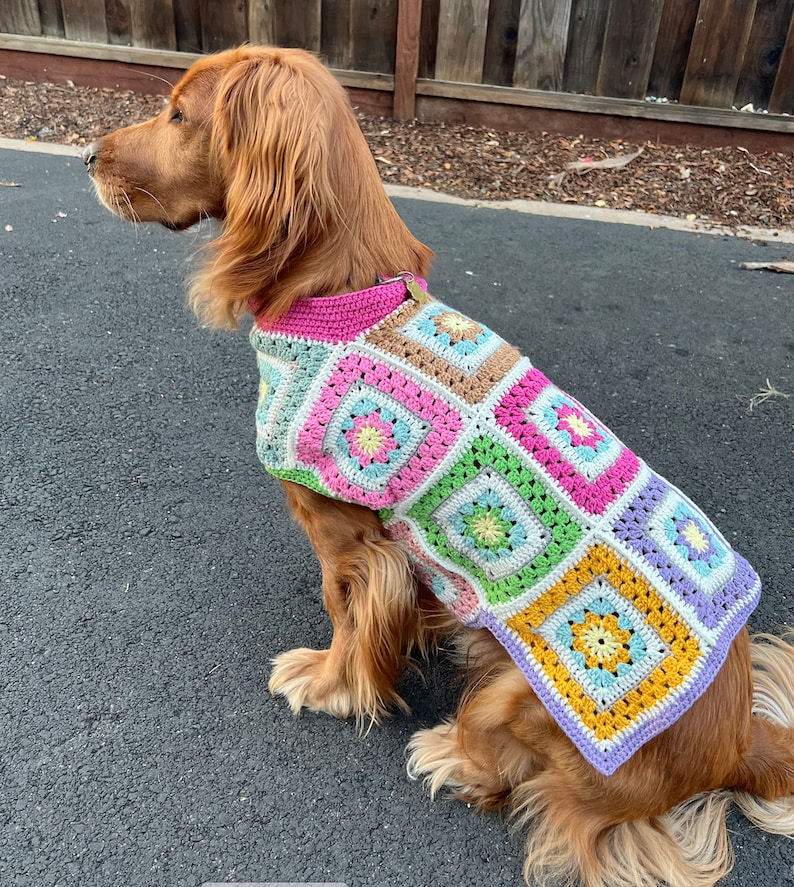 Granny Square Dog Sweater Pet Sweater Crochet Sweater Etsy