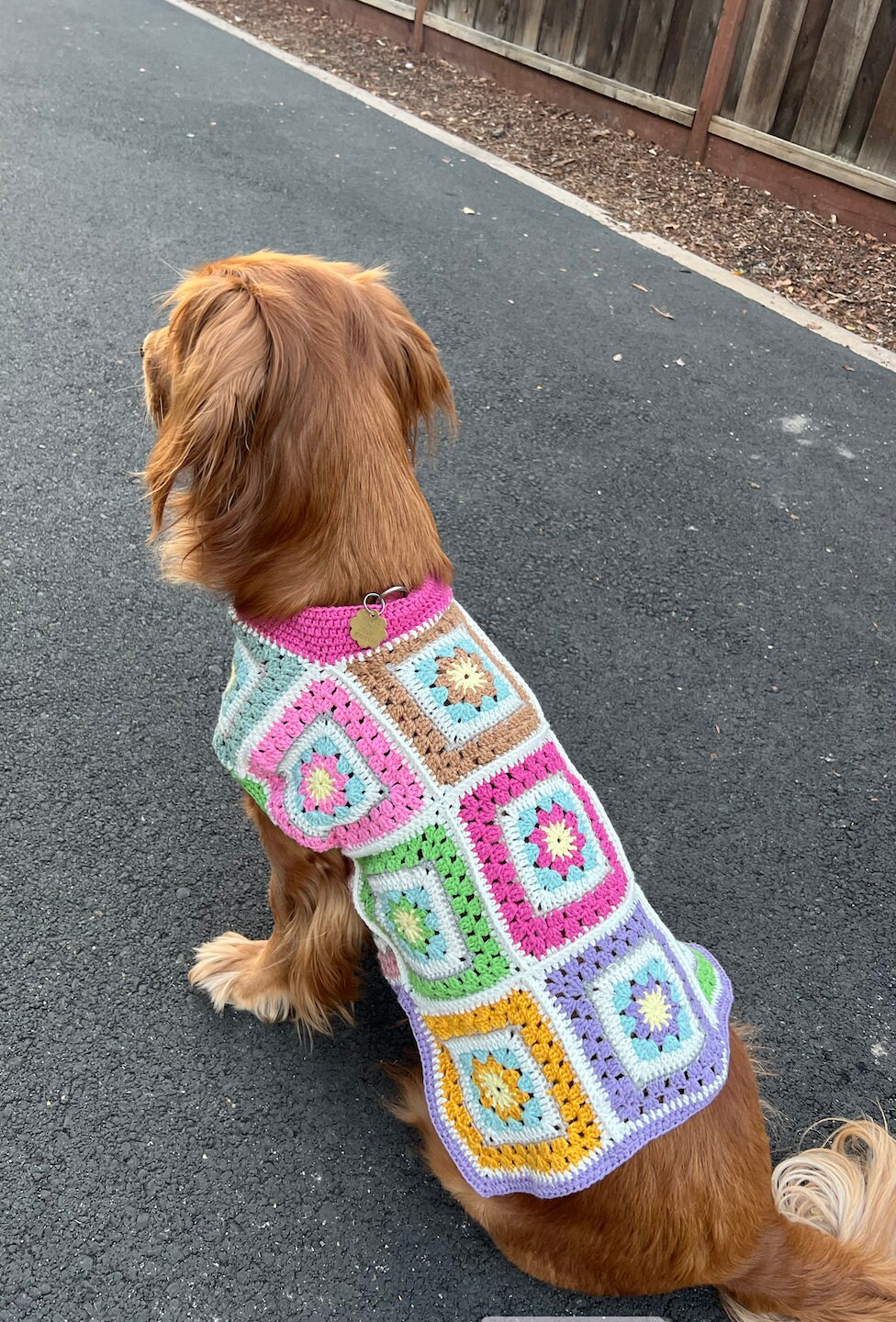 Granny Square Dog Sweater Pet Sweater Crochet Sweater Etsy