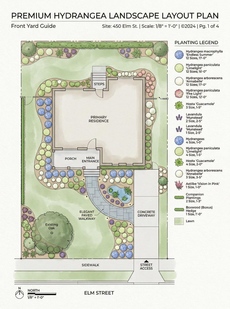 Front Yard Hydrangea Landscape Plan, DIY Curb Appeal Garden Guide ...