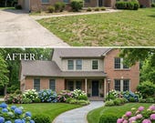 Front Yard Hydrangea Landscape Plan, DIY Curb Appeal Garden Guide, Zones 4-8 Printable Blueprint, Low Maintenance Outdoor Layout PDF