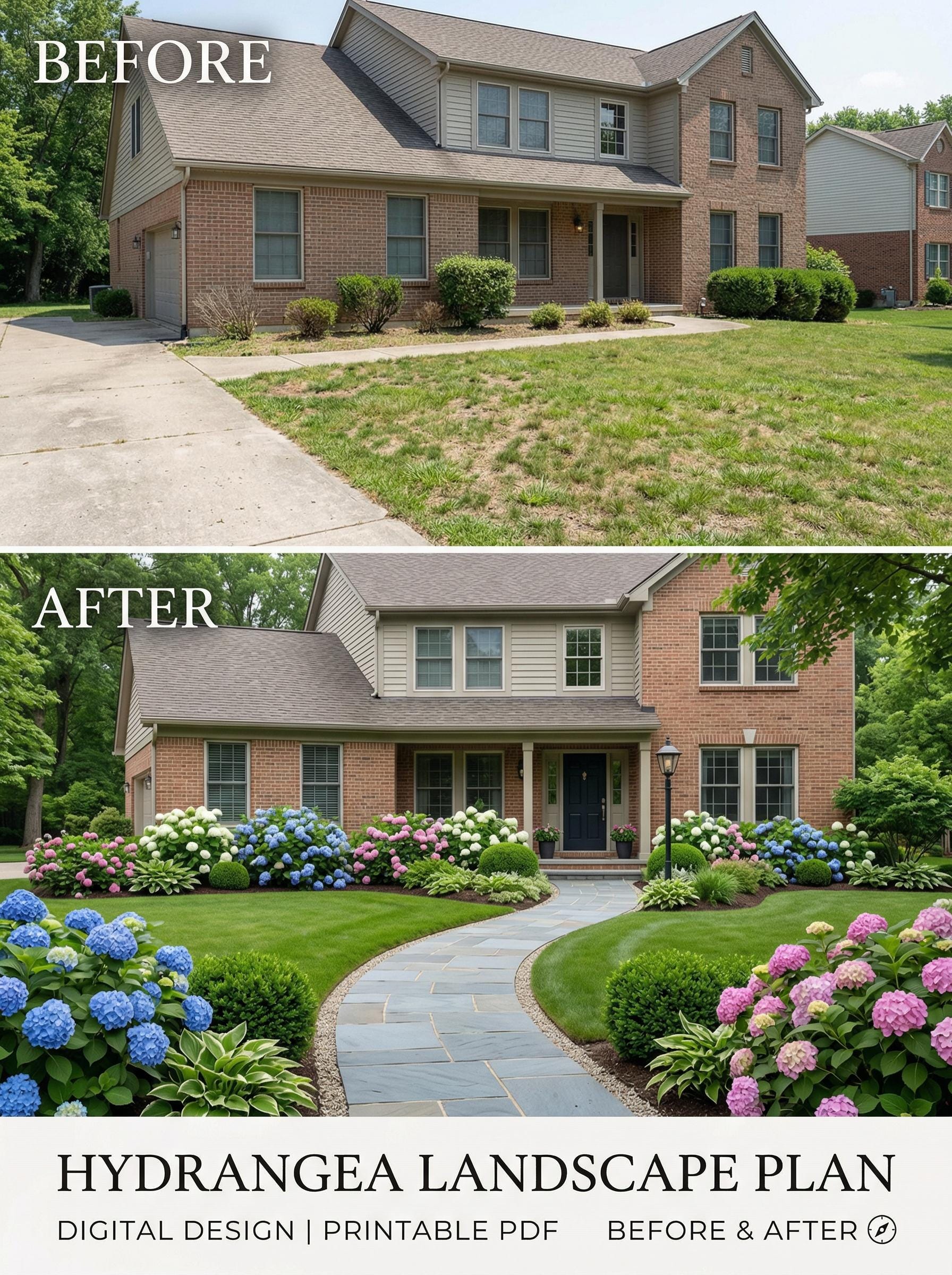 Front Yard Hydrangea Landscape Plan, DIY Curb Appeal Garden Guide ...