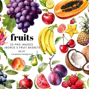 Fruits Clipart Bundle |  Fruit Clipart Collection | 30 High-Resolution PNG Images with Transparent Background