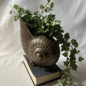 May include: A brass planter shaped like a large nautilus shell with intricate ribbed detailing, resting on top of a thick black book. A trailing green ivy plant with variegated leaves grows out of the shell, cascading down the side of the book.