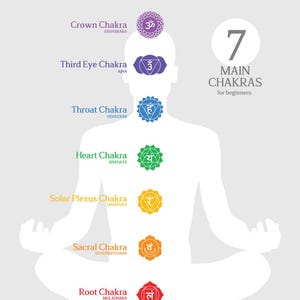 May include: An illustration of the seven main chakras, with their Sanskrit names and symbols, on a white silhouette of a person sitting in a meditative pose. The chakras are represented by colored lotus flowers with Sanskrit symbols in the center. The chakras are: Root Chakra (red), Sacral Chakra (orange), Solar Plexus Chakra (yellow), Heart Chakra (green), Throat Chakra (blue), Third Eye Chakra (indigo), and Crown Chakra (violet).