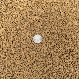 May include: Close-up of a pile of small, irregularly shaped, light brown pebbles. A silver quarter coin is centered among the pebbles, providing a size reference. The pebbles have a rough, textured surface.