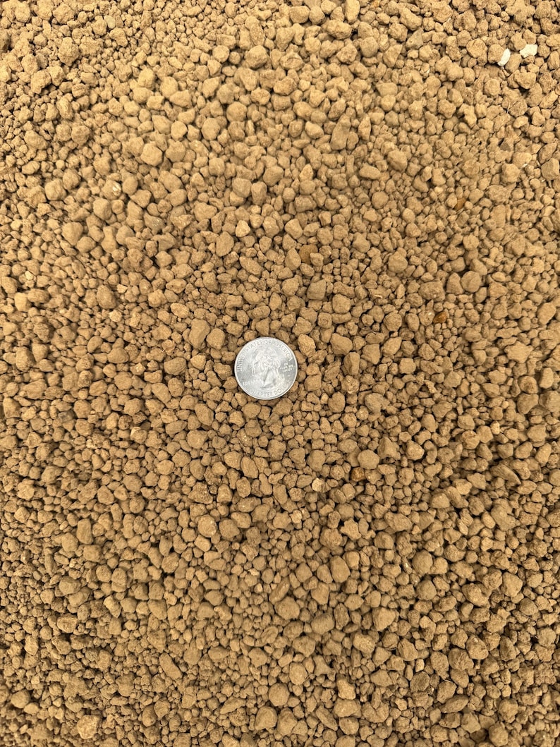 May include: Close-up of a pile of small, irregularly shaped, light brown pebbles. A silver quarter coin is centered among the pebbles, providing a size reference. The pebbles have a rough, textured surface.