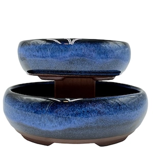 Bonsái Pot 2 Pack 7 and 5.5 inch