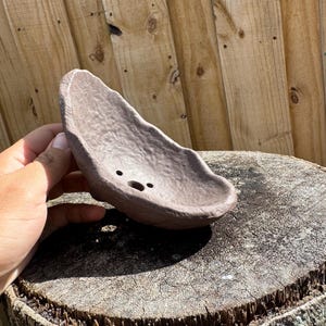 May include: A small, brown, ceramic planter with a wavy, organic shape. The planter has three drainage holes and is sitting on a tree stump.