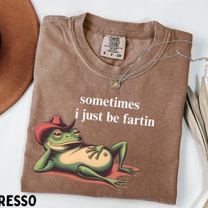 May include: An espresso-colored t-shirt featuring a graphic of a green frog wearing a red cowboy hat and reclining. The text "sometimes i just be fartin" is printed in white above the frog. The shirt has a Comfort Colors brand neck label.