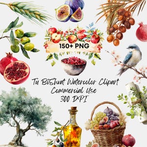 May include: Watercolor clipart featuring various fruits, including figs, pomegranates, and apples, along with a basket of produce and a bottle of oil. The image includes the text "150+ PNG", "Tu BiShvat Watercolor Clipart Commercial Use 300 DPI".
