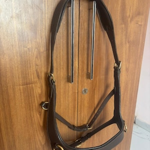 May include: A brown leather horse bridle with gold-colored metal hardware. The bridle features a padded headstall, cheek pieces, and a noseband. The bridle is designed for equestrian use.
