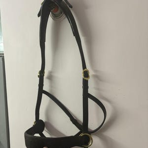 Puede incluir: Una brida de caballo de cuero marrón oscuro con hebillas y anillos de metal de color dorado. La brida presenta una muserola acolchada con un patrón decorativo. Las correas de cuero están conectadas con herrajes metálicos dorados.