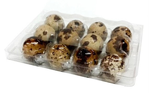 250-Pack Jumbo Quail Egg Cartons - 12 Cell (3x4) Secure Snap Close, Fast Shipping 12 thumbnail image