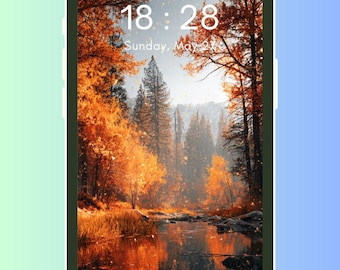 Fondos de pantalla para teléfono de las cuatro estaciones: primavera, verano, otoño e invierno (descarga digital)