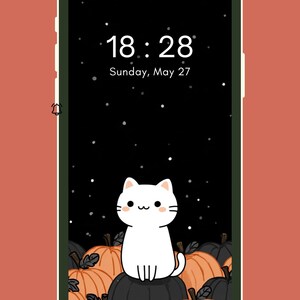 May include: A smartphone screen displays a cartoon cat sitting on pumpkins against a starry night sky. The time is 18:28, Sunday, May 27. The phone has a green border and is set against a reddish-orange background.